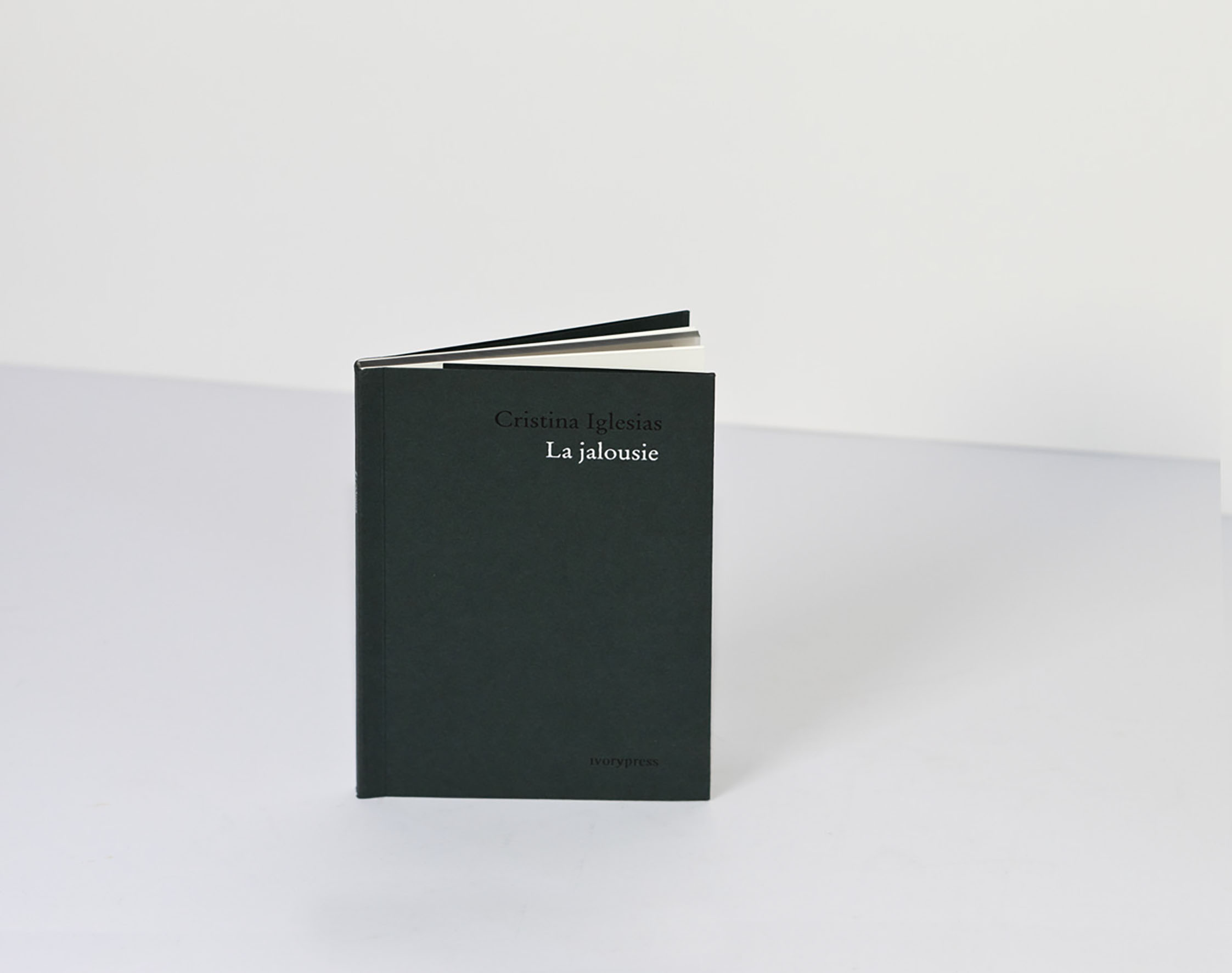 Cristina Iglesias